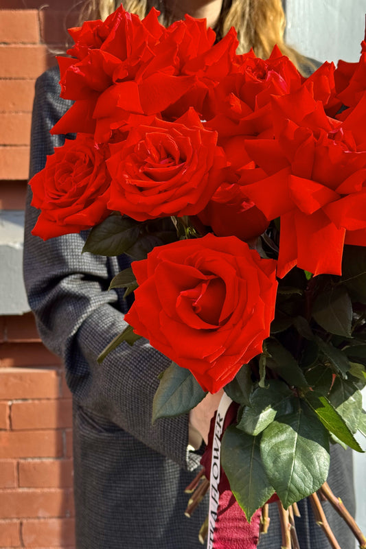 Paris Flame - Kvetka Flower