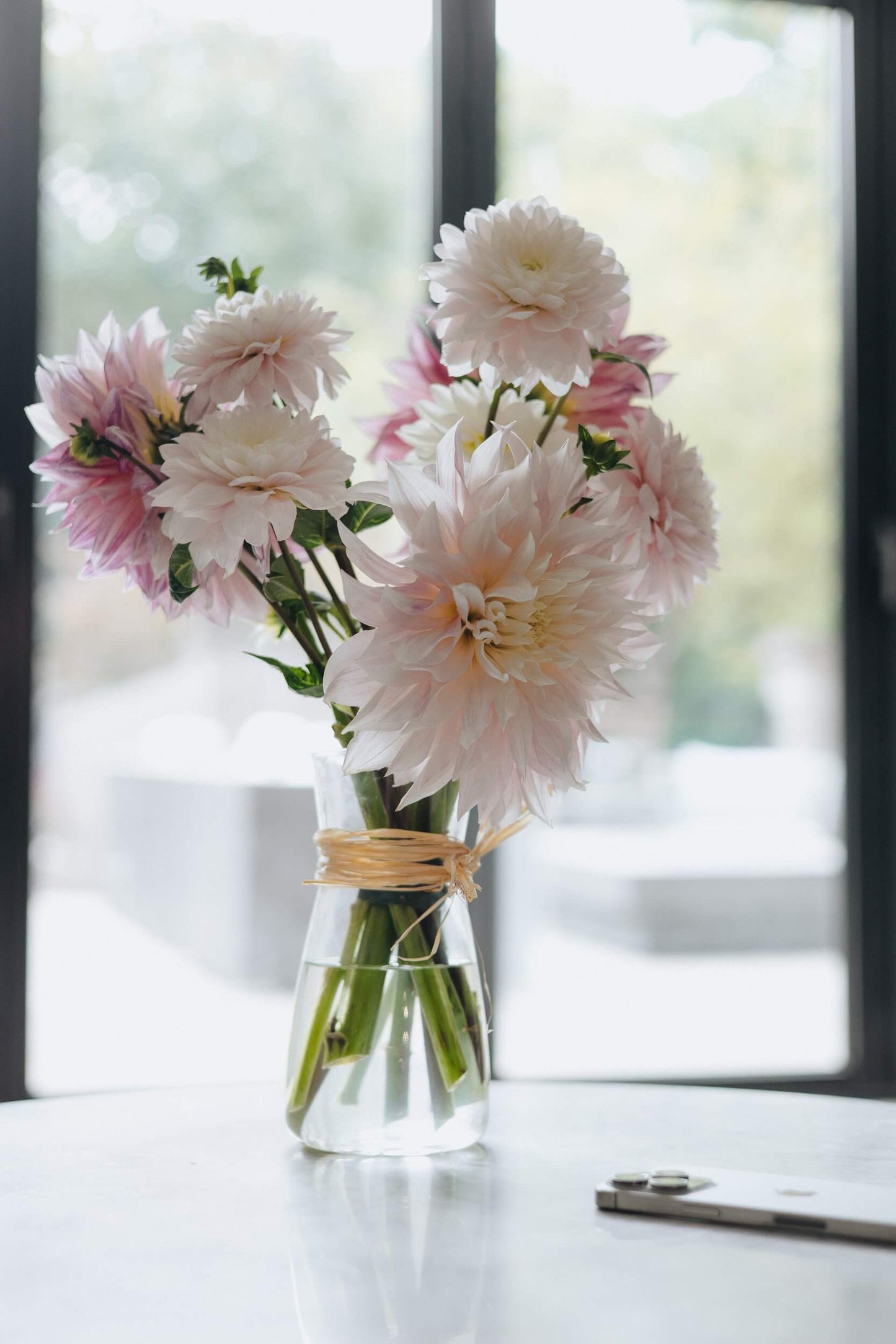 Brightly lit dahlia bouquet near window, Portland OR flower delivery by Kvetka Flower