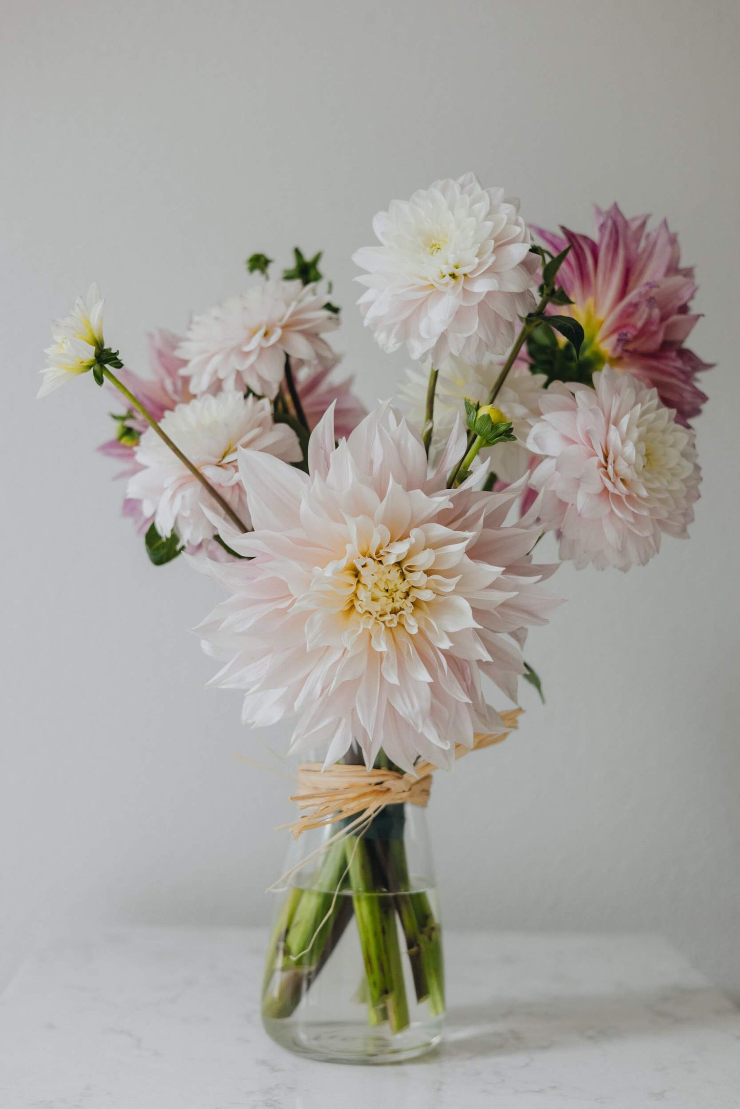 Delicate dahlia bouquet against a clean white background, Portland OR florist
