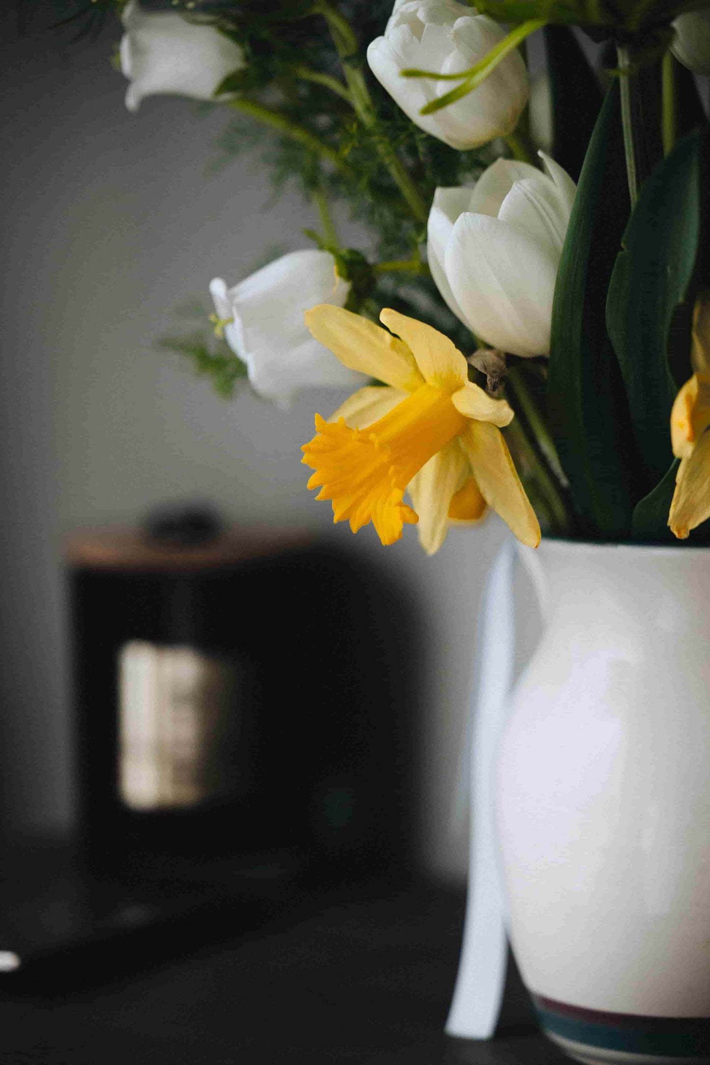 Daffodil in focus with soft tulips in the background – flower subscription Portland by Kvetka Flower