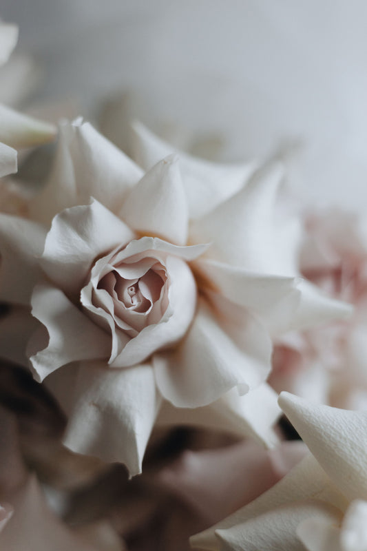 French Roses - Kvetka Flower