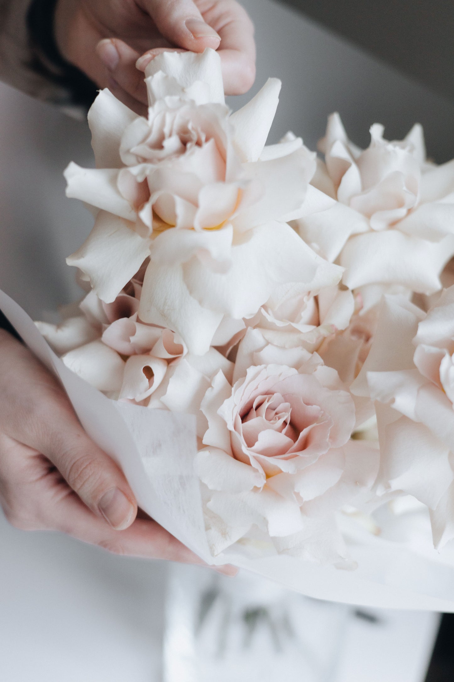 French Roses - Kvetka Flower