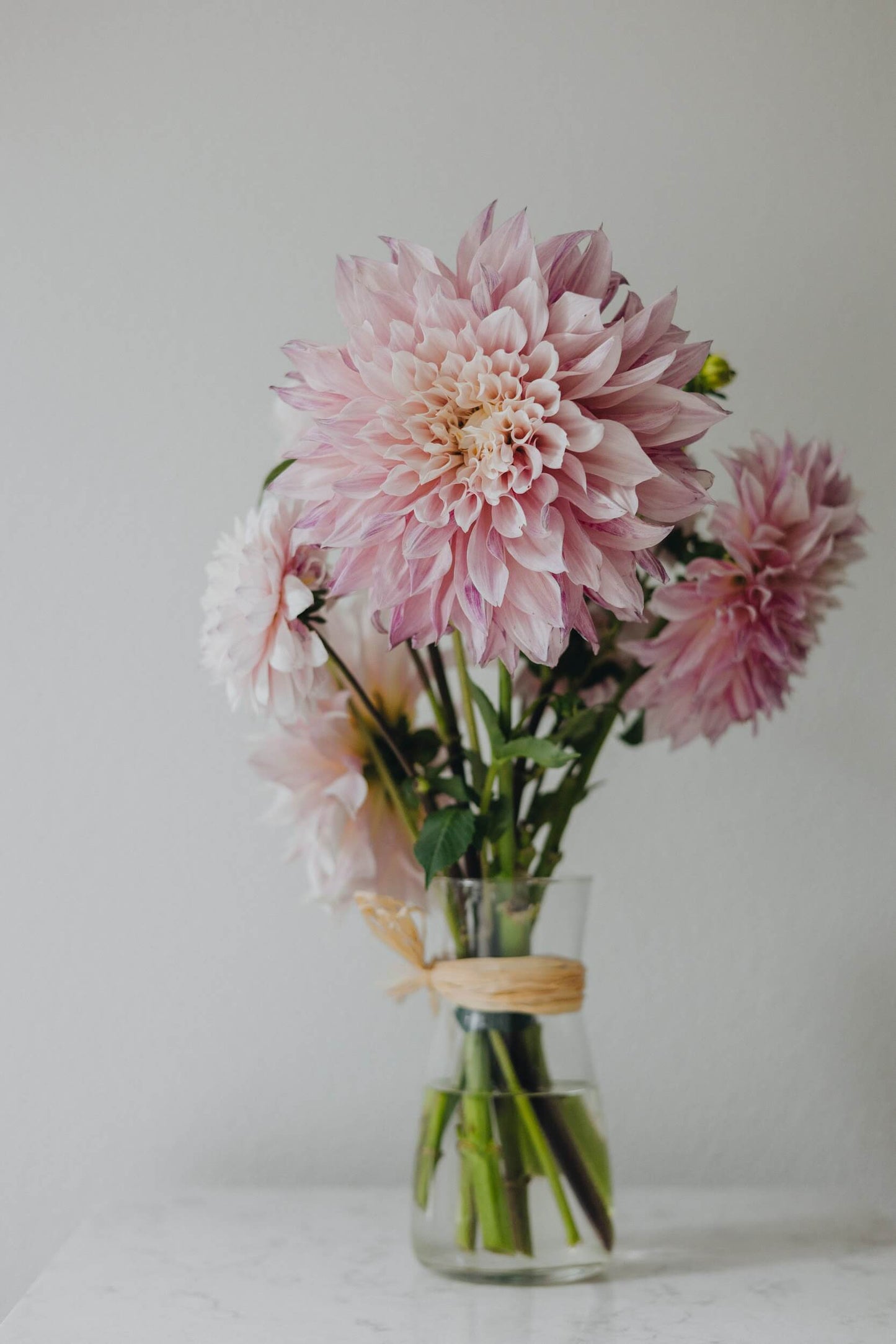 Large blush dahlia as centerpiece of bouquet by Kvetka Flower, Portland Oregon