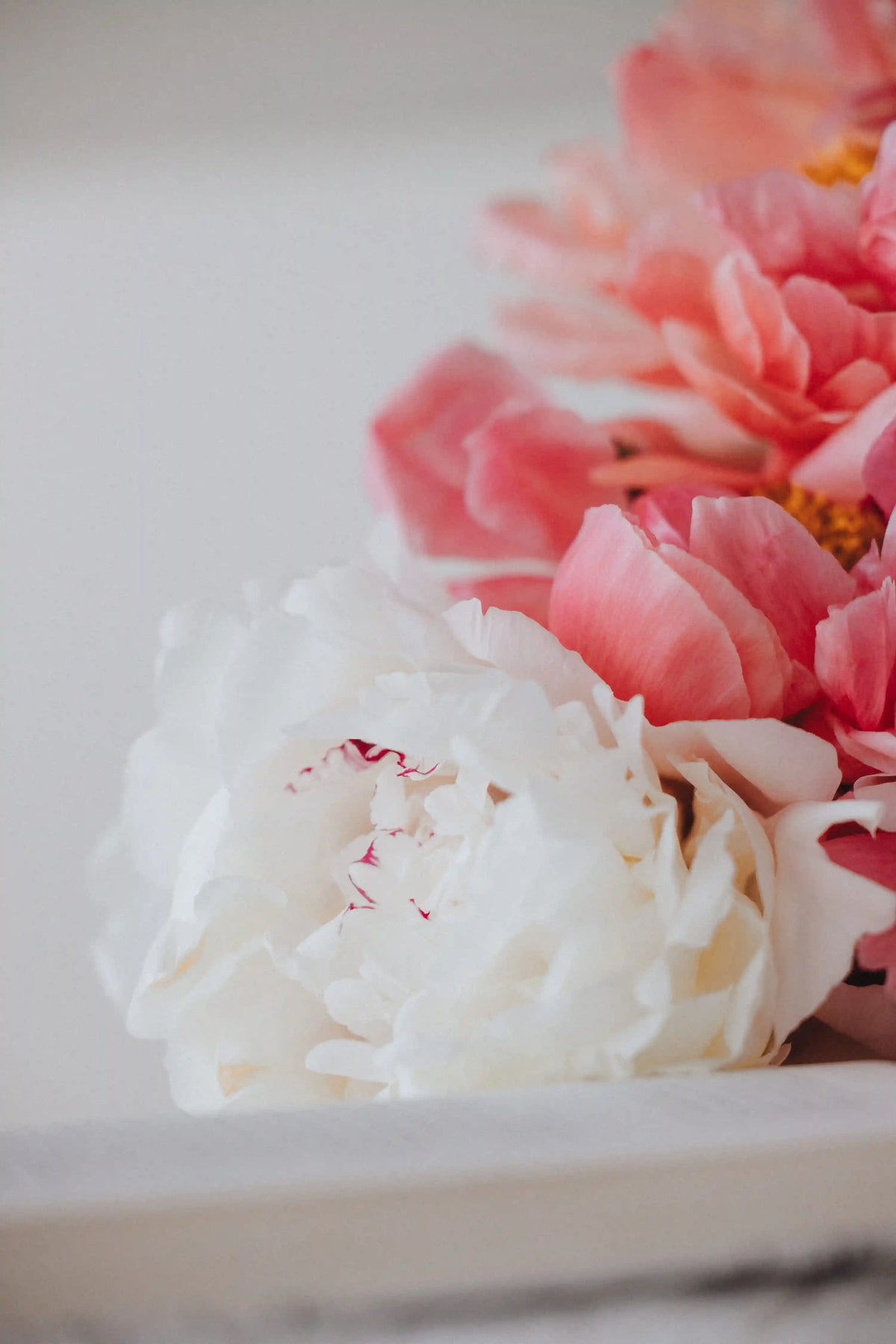 Coral and white peony bouquet with two-tone color option from Kvetka Flower