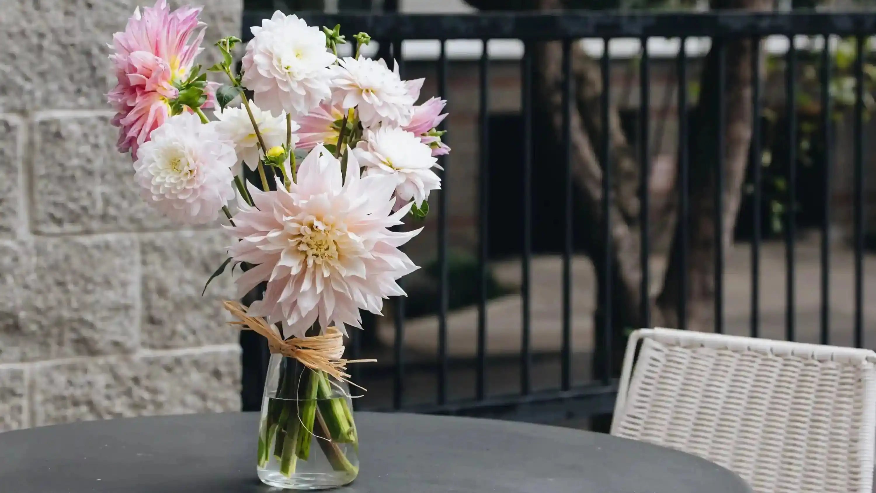 Light pink dahlias arranged for a modern office or patio space — delivered with Kvetka Flower’s floral subscription in Portland, OR.