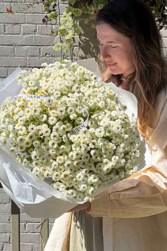 Video with woman holding a large bouquet of chamomile flowers in Portland sunlight – Kvetka Flower summer blooms