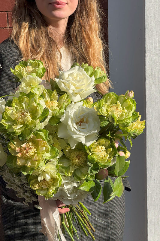 Ivory Garden - Kvetka Flower