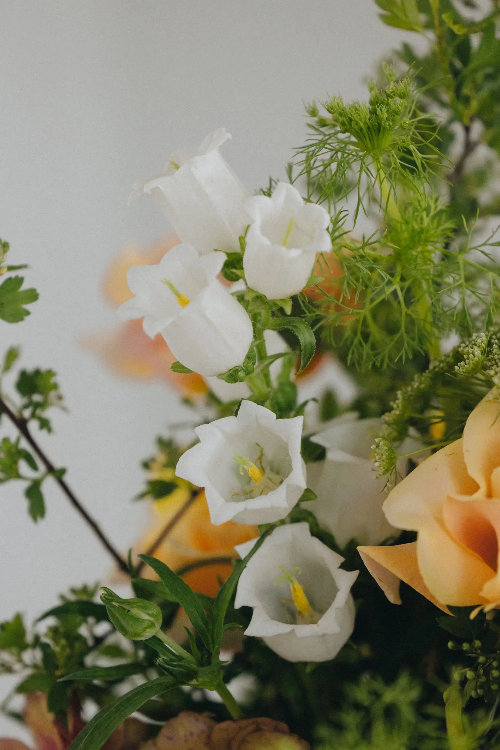 Custom flower arrangement detail white campanula bells and seasonal greenery by Kvetka Flower Portland