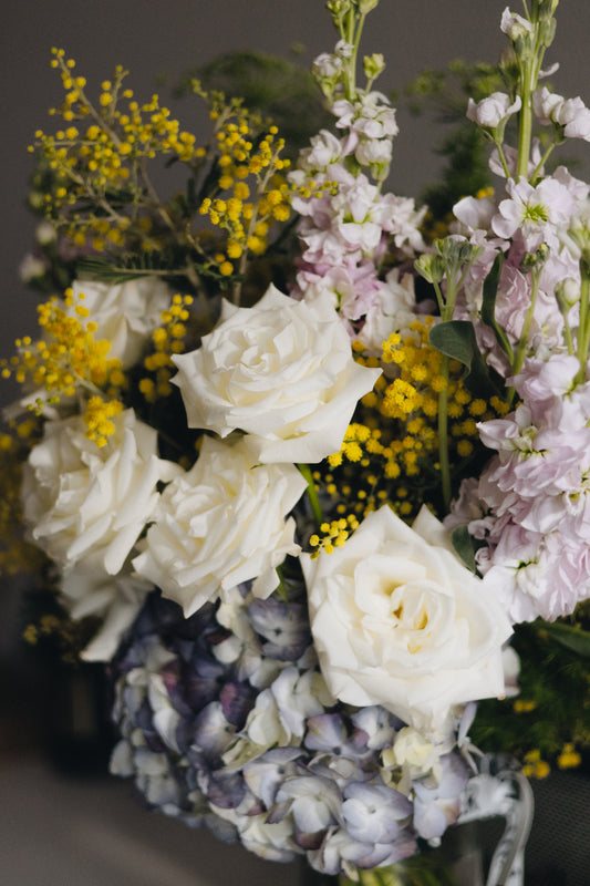 Early Spring - Kvetka Flower