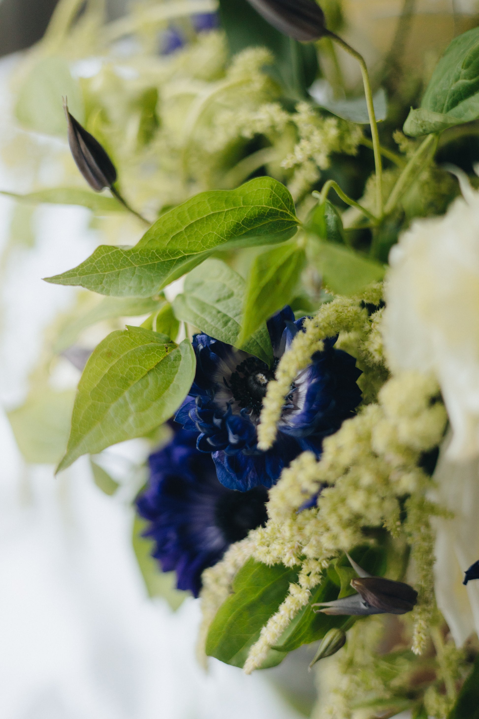 For Everything - Kvetka Flower