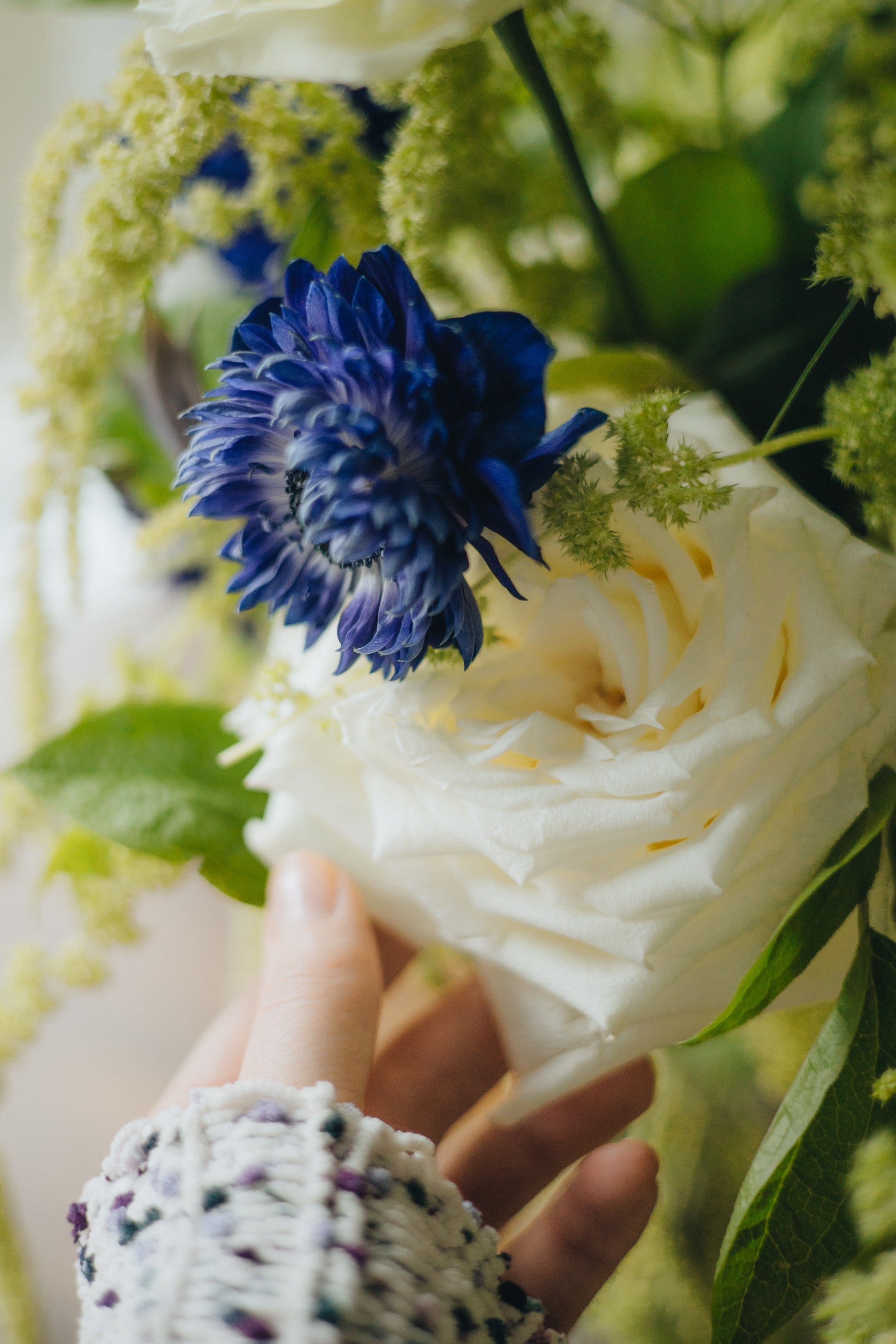 For Everything - Kvetka Flower