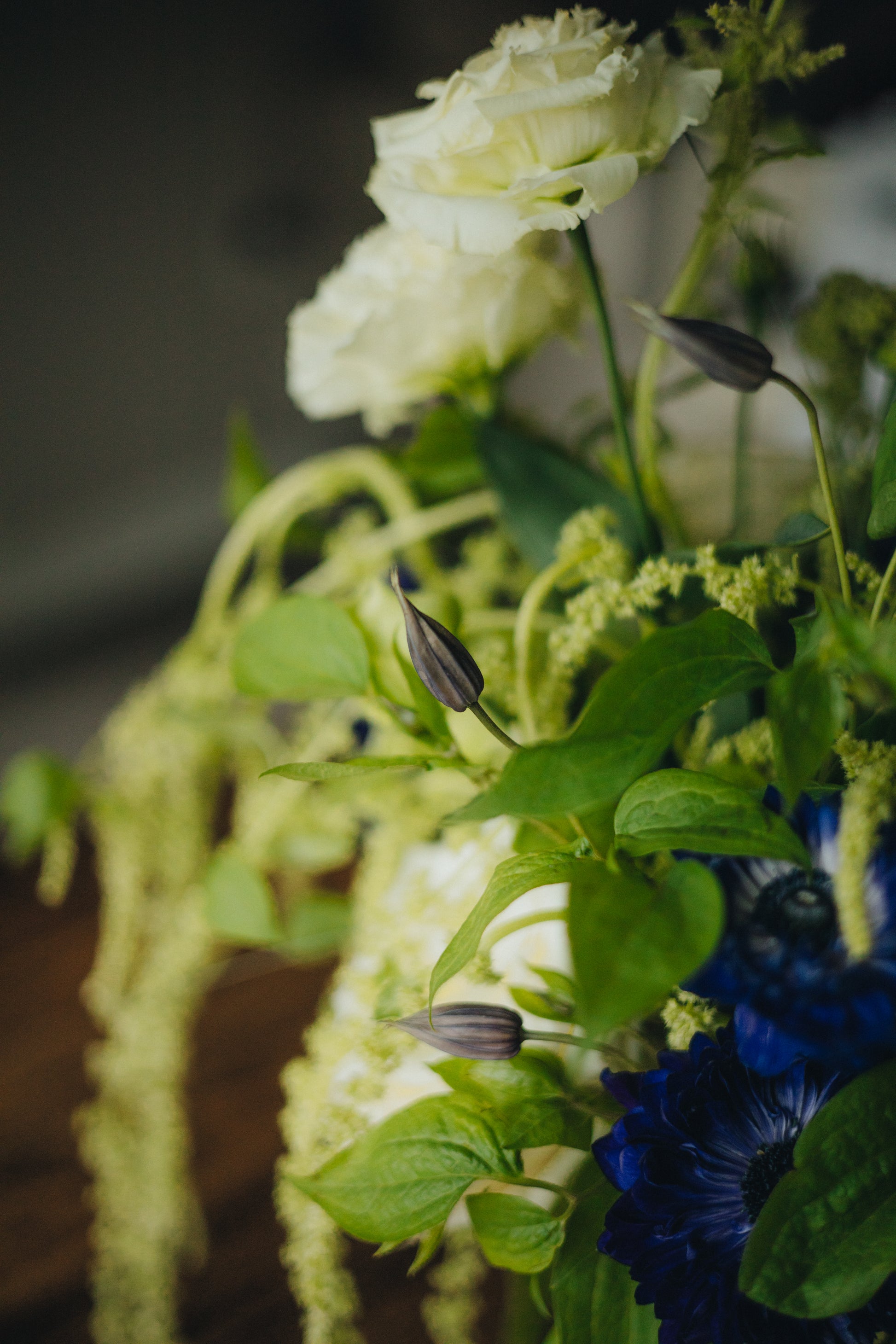 For Everything - Kvetka Flower