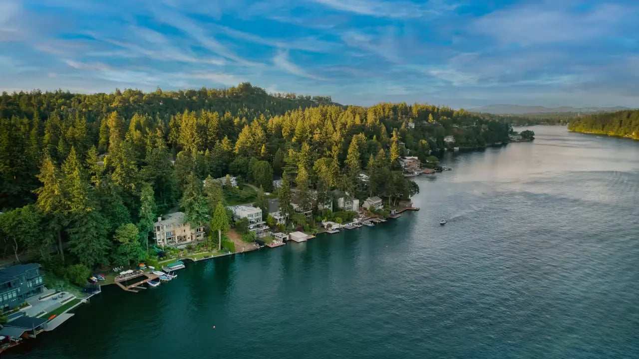 Aerial view of a lakeside community with houses and boats near a forested shoreline.