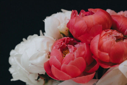 White peonies in a clean arrangement, grown locally and styled for summer