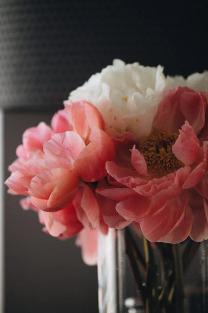 Modern peony bouquet in coral and white, available for local flower delivery in Portland